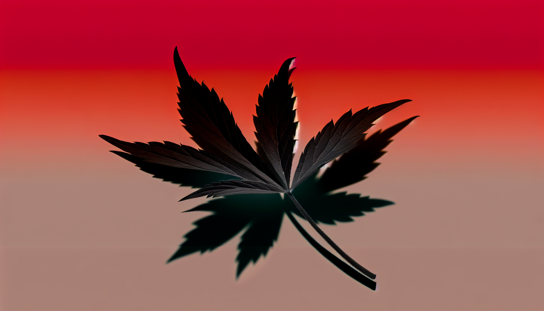 Exploring CBD for Stress: Ayurvedic Solutions Unveiled